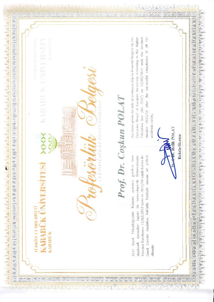 Certificate of Professorship