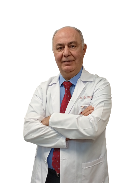 Prof.Dr.Coşkun POLAT